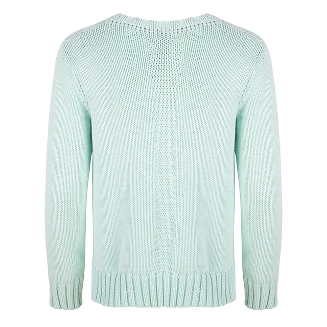 Claire Crew Neck Pullover | Aloe