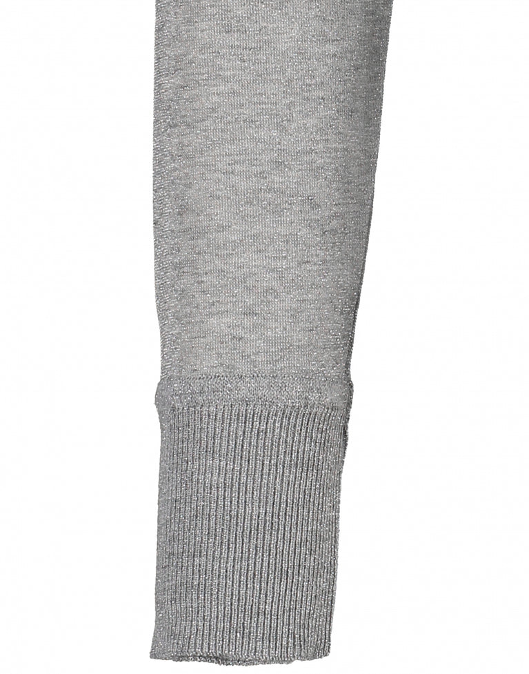 Josh Roll Neck | Silver